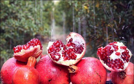 محصولات باغی
